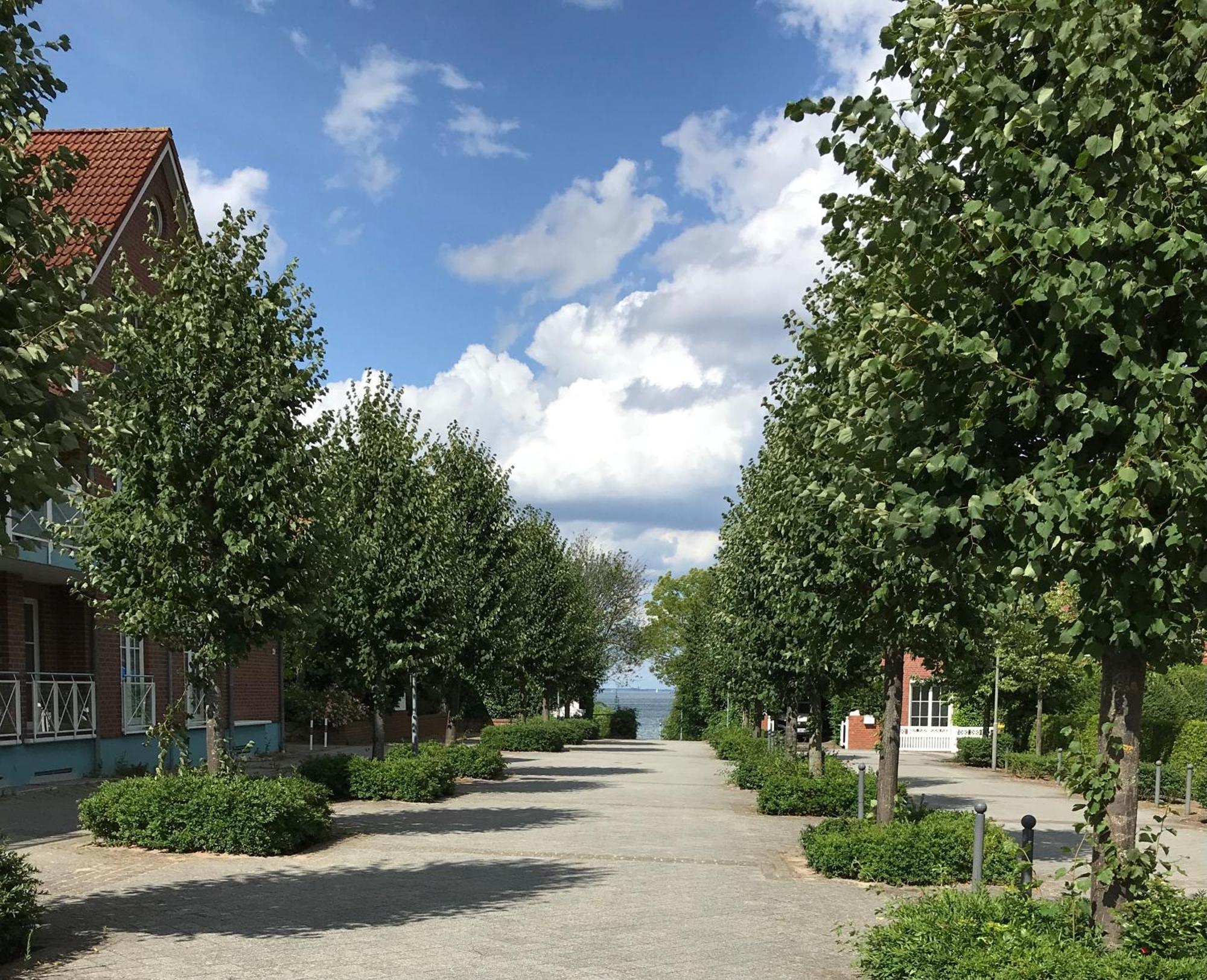Ost11A Ferienwohnung Strandnah Niendorf  Bagian luar foto